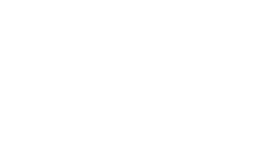 Government Logo